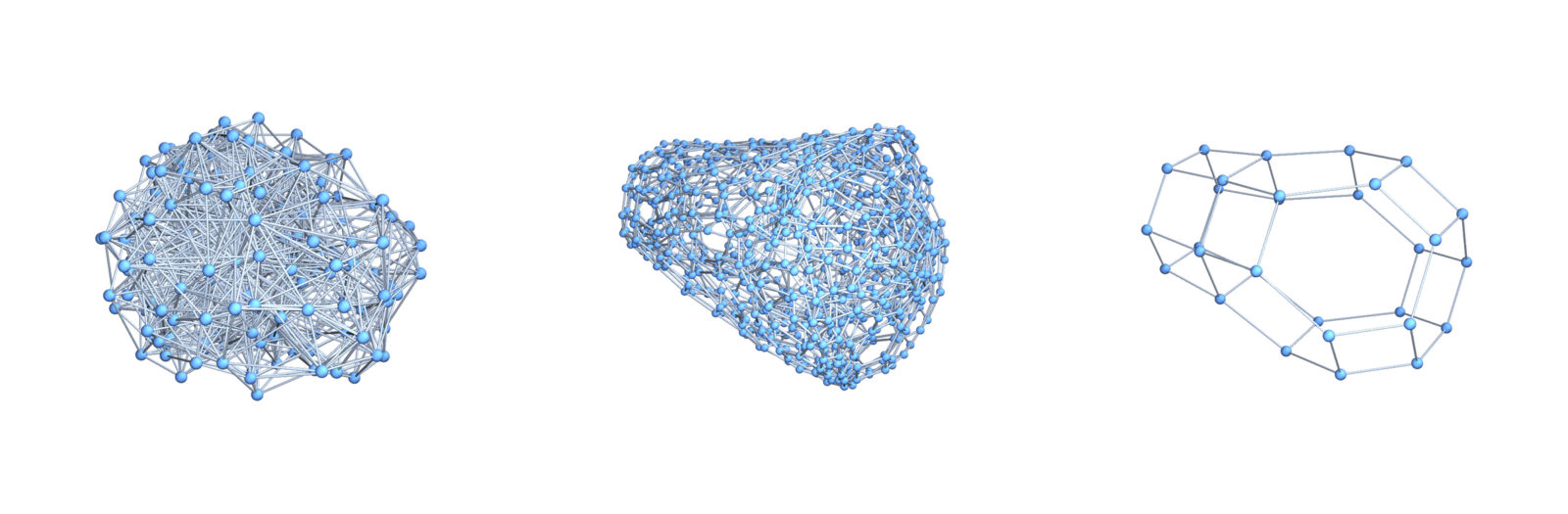 The manifold, the dual manifold and a geodesic sheet, which is a 2 dimensional cell complex (in this case a sphere). 